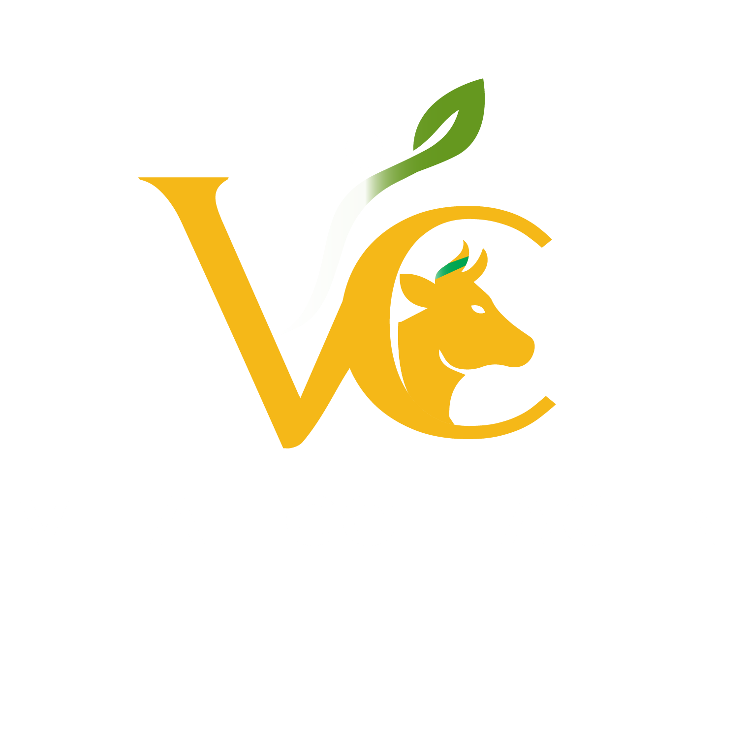 vitalcollagen
